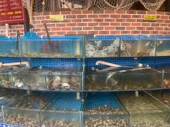水产区-蟹谢蒸鲜自助餐厅