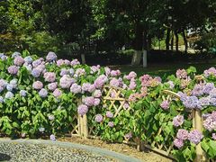 -常州古运河南大街文化旅游区-人民公园