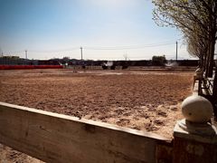 -北京群众马术培训基地