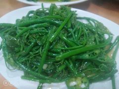 -寻味肇庆·八姑农庄·广府西江菜