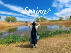 -大兴滨河森林公园