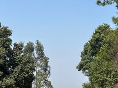 -东莞观音山旅游风景区