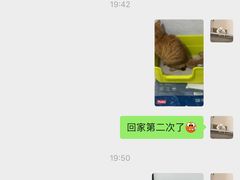 -瑞鹏宠物医院·夜间急症·心超·猫科(祖庙分店)