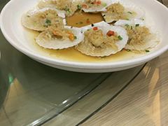 -新天明砂锅鱼头煲