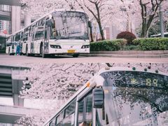 -上海南浦大桥长途旅游客运站
