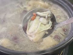 -花苑美食横琴生蚝火锅(拱北粤华路店)
