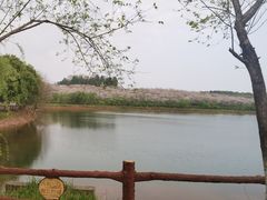 -凤凰沟景区