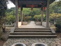 -雨花胜境