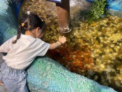 -酷嗒动物文化乐园(cutezoo西溪乐天城店)