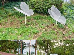 -金鸡湖桃花岛