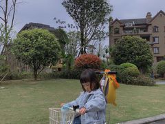 -东岳体育公园