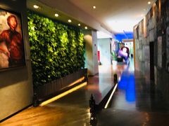 -上海外滩英迪格酒店