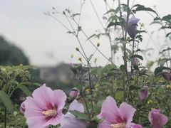 -涞滩古镇