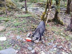 -硗碛藏寨·神木垒景区