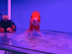 -华声天桥民俗文化园