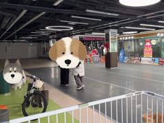 -全心全意动物诊疗中心医院(北苑店)