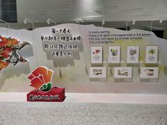 -广州白云国际机场