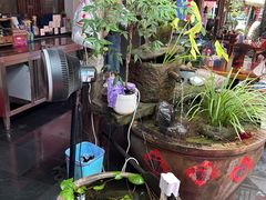 -小小饭店·休闲农庄·安吉松树林里的农家菜