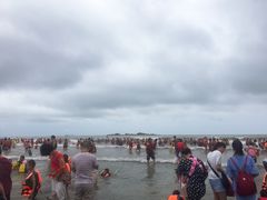 -台山黑沙湾海浴场