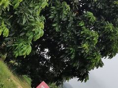-光明小镇欢乐田园