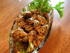 秘制糟花螺-周家二小姐的菜(西津渡店)