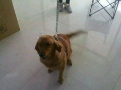 -好利来(桂林路店)