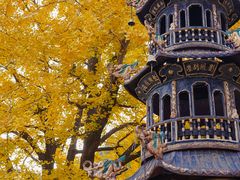 -遵化市禅林寺古银杏风景园