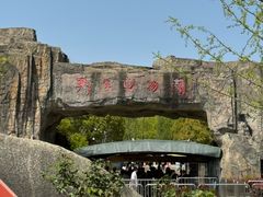 -合肥野生动物园
