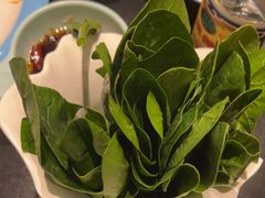 -南门四季铜锅涮肉(大屯·北苑店)