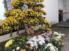 -杭州植物园