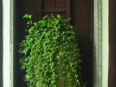 -苏州文旅花间堂·探花府酒店