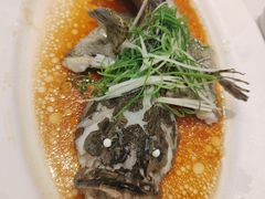 -稻香酒家·35年老字号(侨光店)