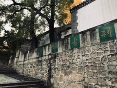 -北京鹫峰国家森林公园