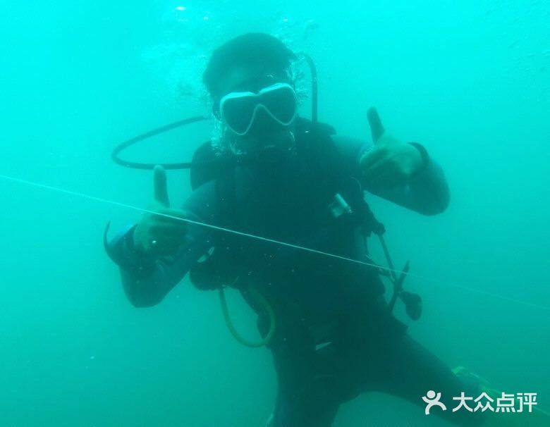 最受欢迎的潜水运动