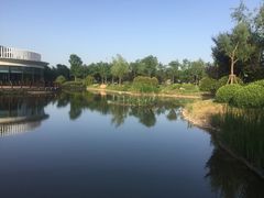 -南阳建业森林半岛假日酒店