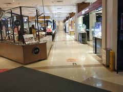 -凯德MALL(望京店)