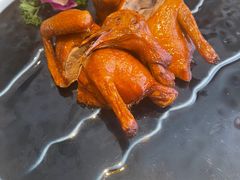 -大鸽饭(马王堆店)