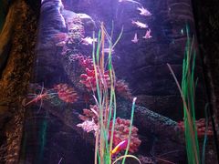 -沈阳海洋探索中心