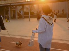 -栖露营camping·天幕烧烤·团建拓展·采摘营地