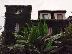 -溧阳路经典老洋房