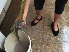 -天目湖刘老四农庄