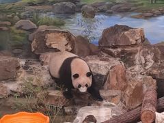 -杭州动物园