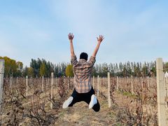 -安德鲁户外烧烤帐篷营地(马泉营店)