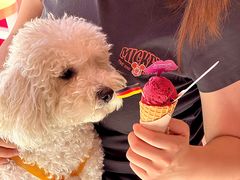 -EIS ENGELCHEN艾斯辛尔