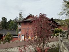 -中国观音故里广德景区