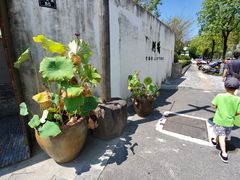 -几荷·恰似故人来(秀水广场店)