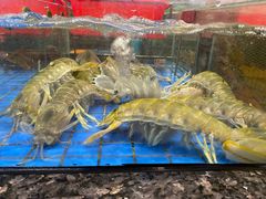 -聚福宝合苑食府(南头镇店)