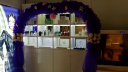 -苗方清颜专业祛痘养生