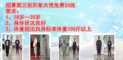 -易健减肥训练营