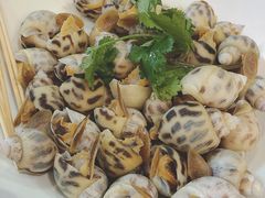 白灼花螺-勇盛潮汕浅海鱼(黄岐名雅路店)